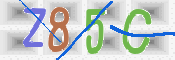 この文字を入力してください