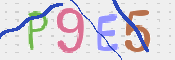 この文字を入力してください
