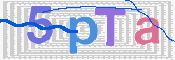この文字を入力してください
