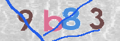 この文字を入力してください