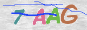 この文字を入力してください
