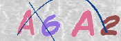 この文字を入力してください