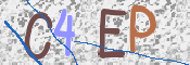 この文字を入力してください