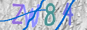 この文字を入力してください