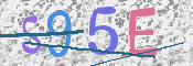 この文字を入力してください