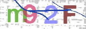 この文字を入力してください