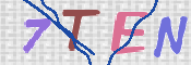 この文字を入力してください