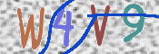 この文字を入力してください