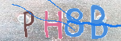 この文字を入力してください