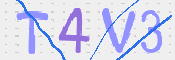 この文字を入力してください