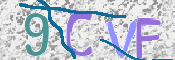 この文字を入力してください