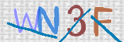 この文字を入力してください