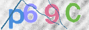 この文字を入力してください