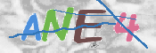 この文字を入力してください