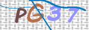 この文字を入力してください