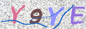 この文字を入力してください