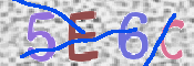 この文字を入力してください