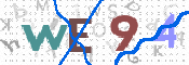 この文字を入力してください