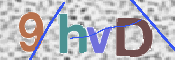 この文字を入力してください