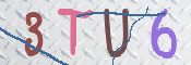 この文字を入力してください