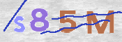 この文字を入力してください