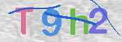 この文字を入力してください