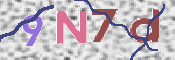 この文字を入力してください