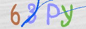 この文字を入力してください