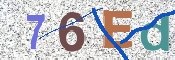 この文字を入力してください