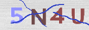 この文字を入力してください