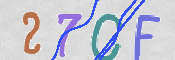 この文字を入力してください
