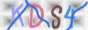 この文字を入力してください