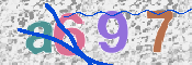 この文字を入力してください