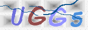 この文字を入力してください