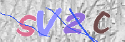 この文字を入力してください