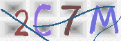 この文字を入力してください