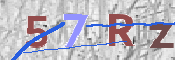 この文字を入力してください