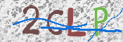 この文字を入力してください