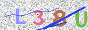 この文字を入力してください