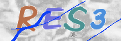 この文字を入力してください