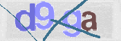 この文字を入力してください
