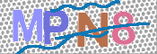 この文字を入力してください