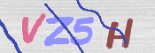 この文字を入力してください