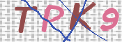 この文字を入力してください