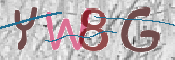 この文字を入力してください