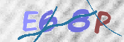 この文字を入力してください