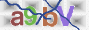 この文字を入力してください