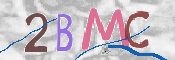 この文字を入力してください