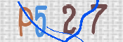 この文字を入力してください