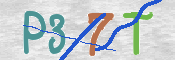 この文字を入力してください